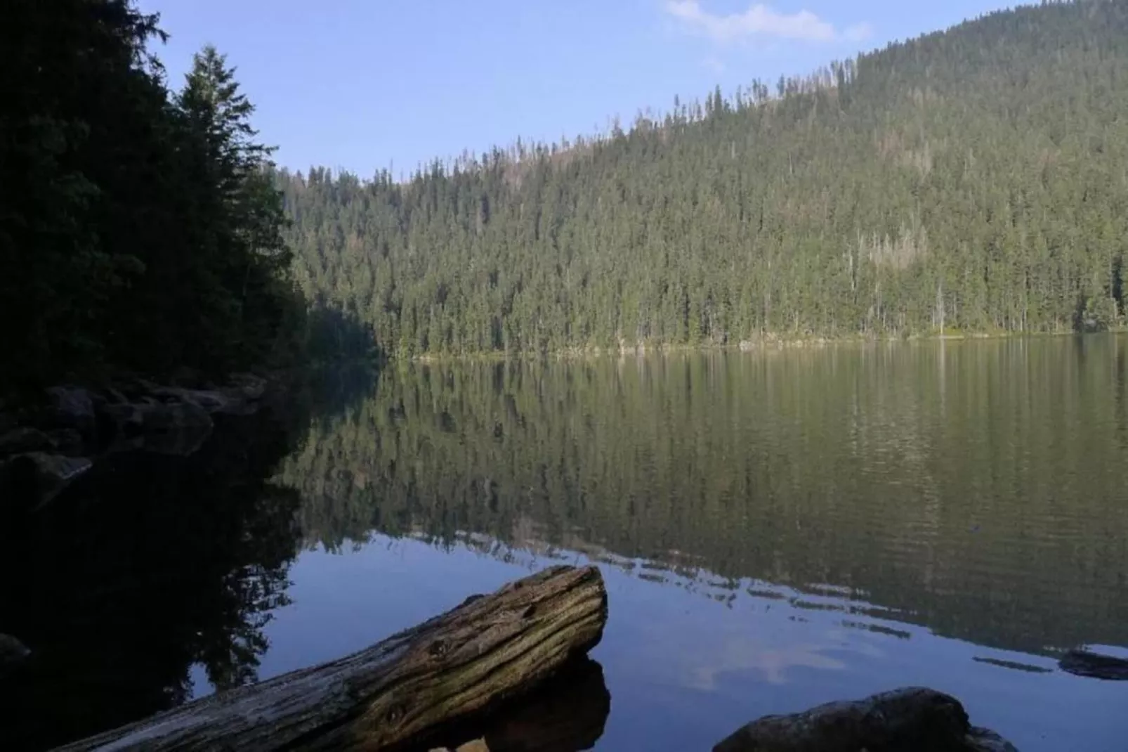 Schönes Holzhaus Arberblick-Gebieden zomer 20km