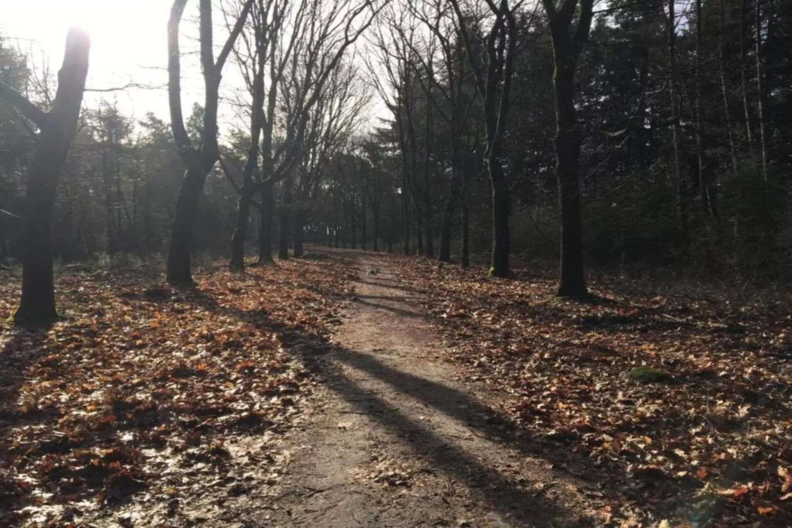 Dorpswoning Op Niveau 4-Gebieden zomer 20km