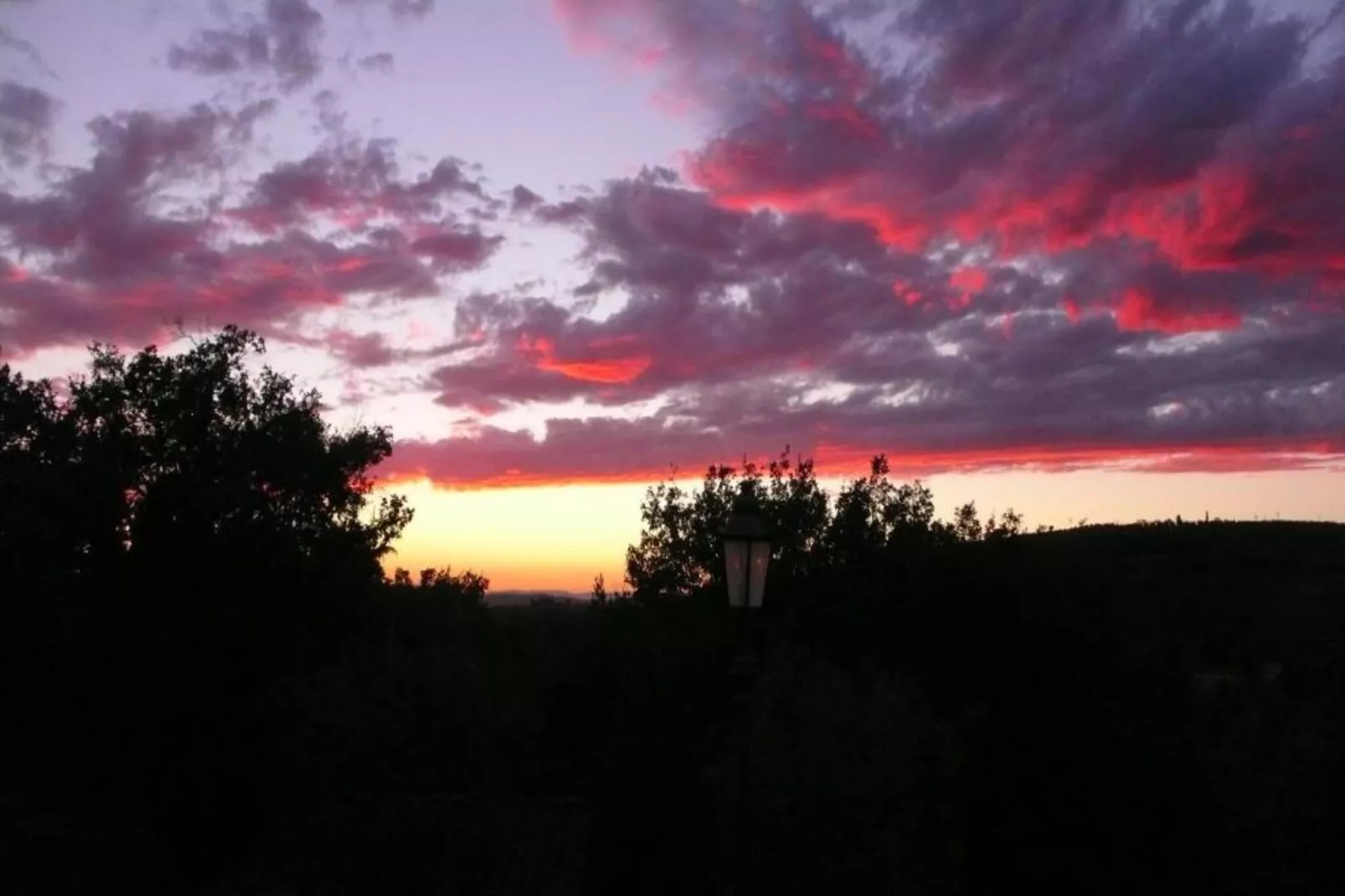 Acacia-Gebieden zomer 20km