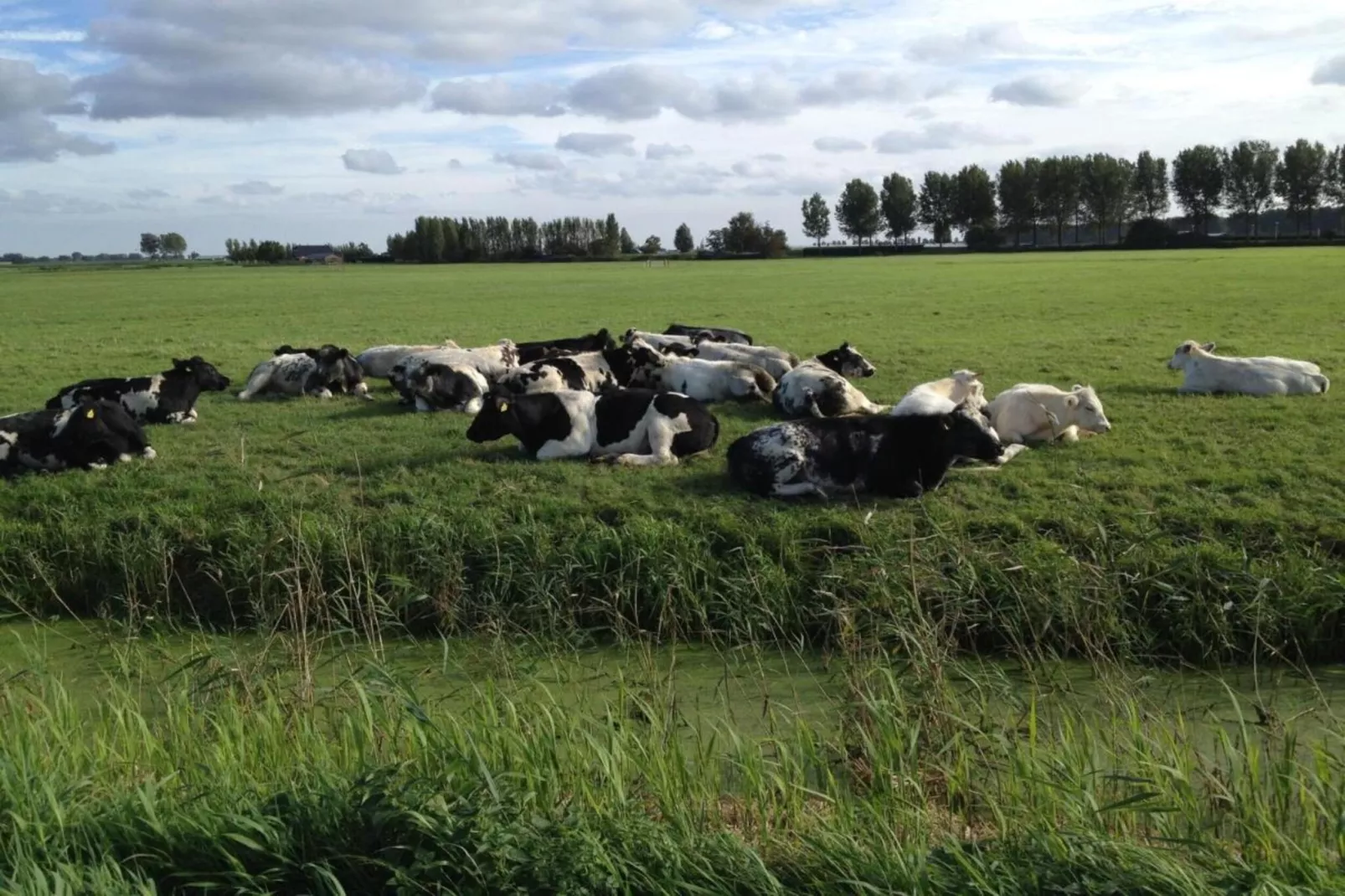 Standaard 24-Gebieden zomer 20km