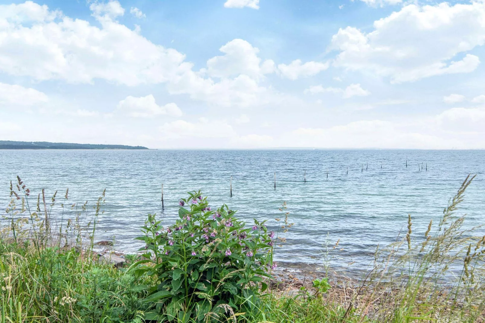 5 Personen vakantie huis in Knebel-Niet-getagd