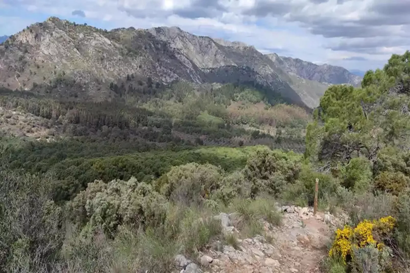 Floresta Sur 9-1-Gebieden zomer 20km