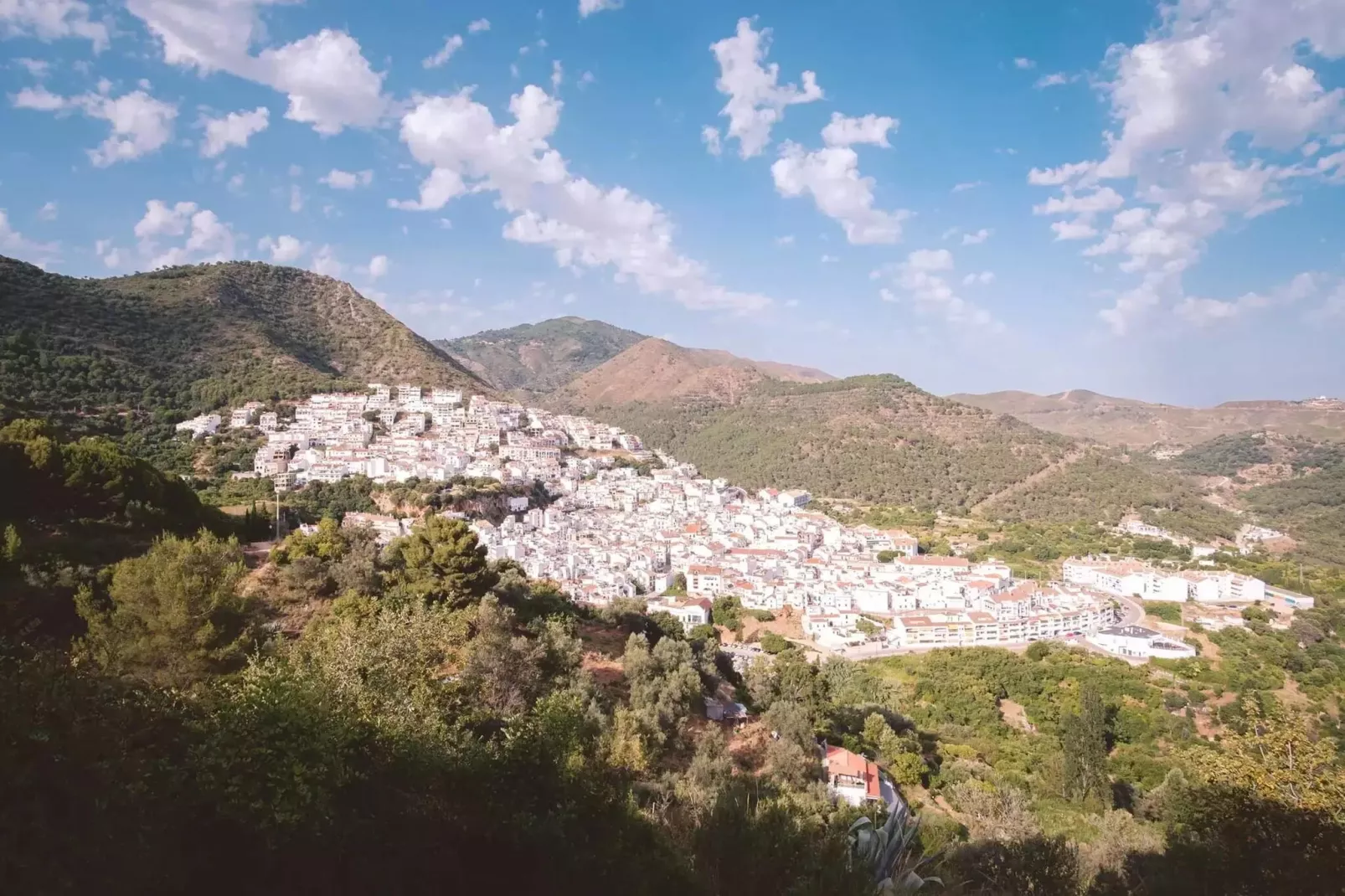El Bosque de la Mairena-Gebieden zomer 20km
