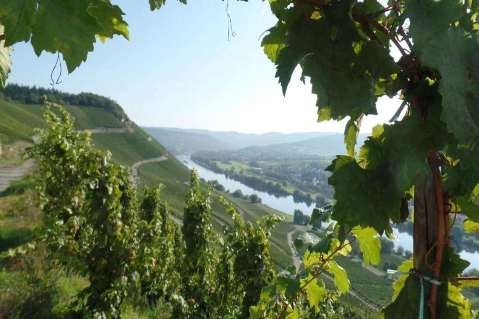 Ferienhaus der Saison an der Mosel-Gebieden zomer 20km