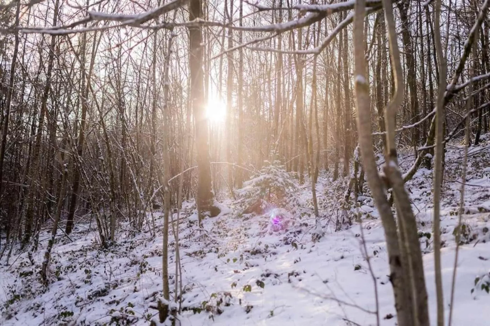 Le Moulin-Gebied winter 5km