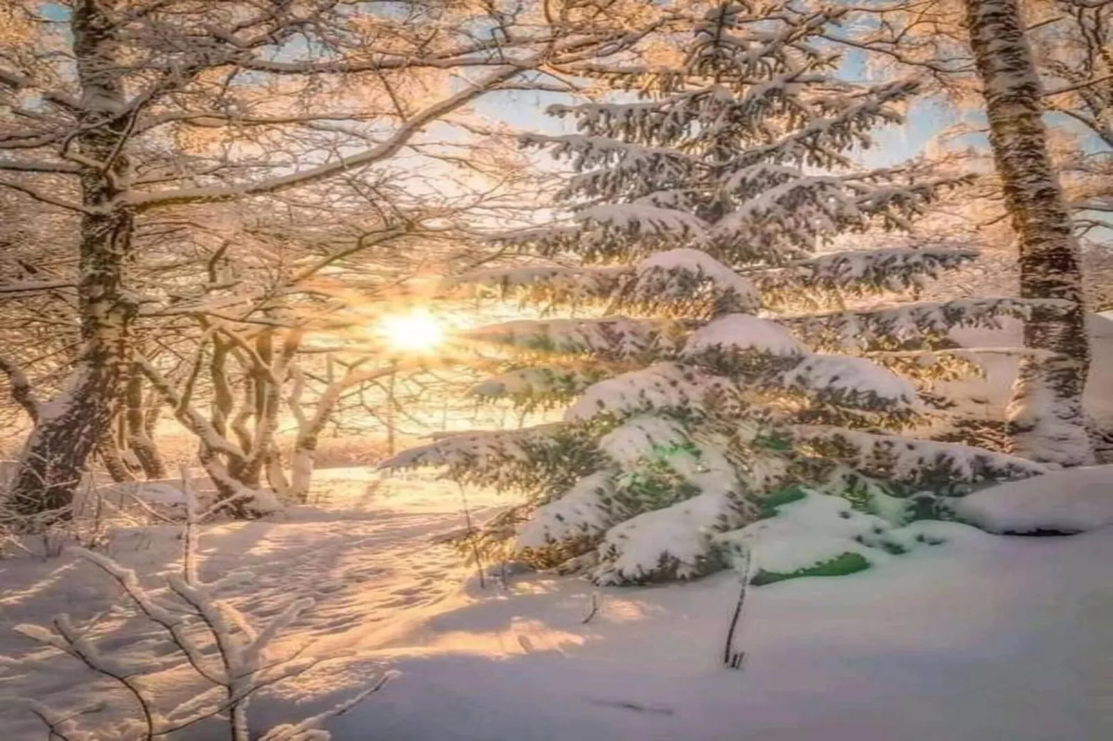 Grande Neige N°33 - 2P5-Gebied winter 5km