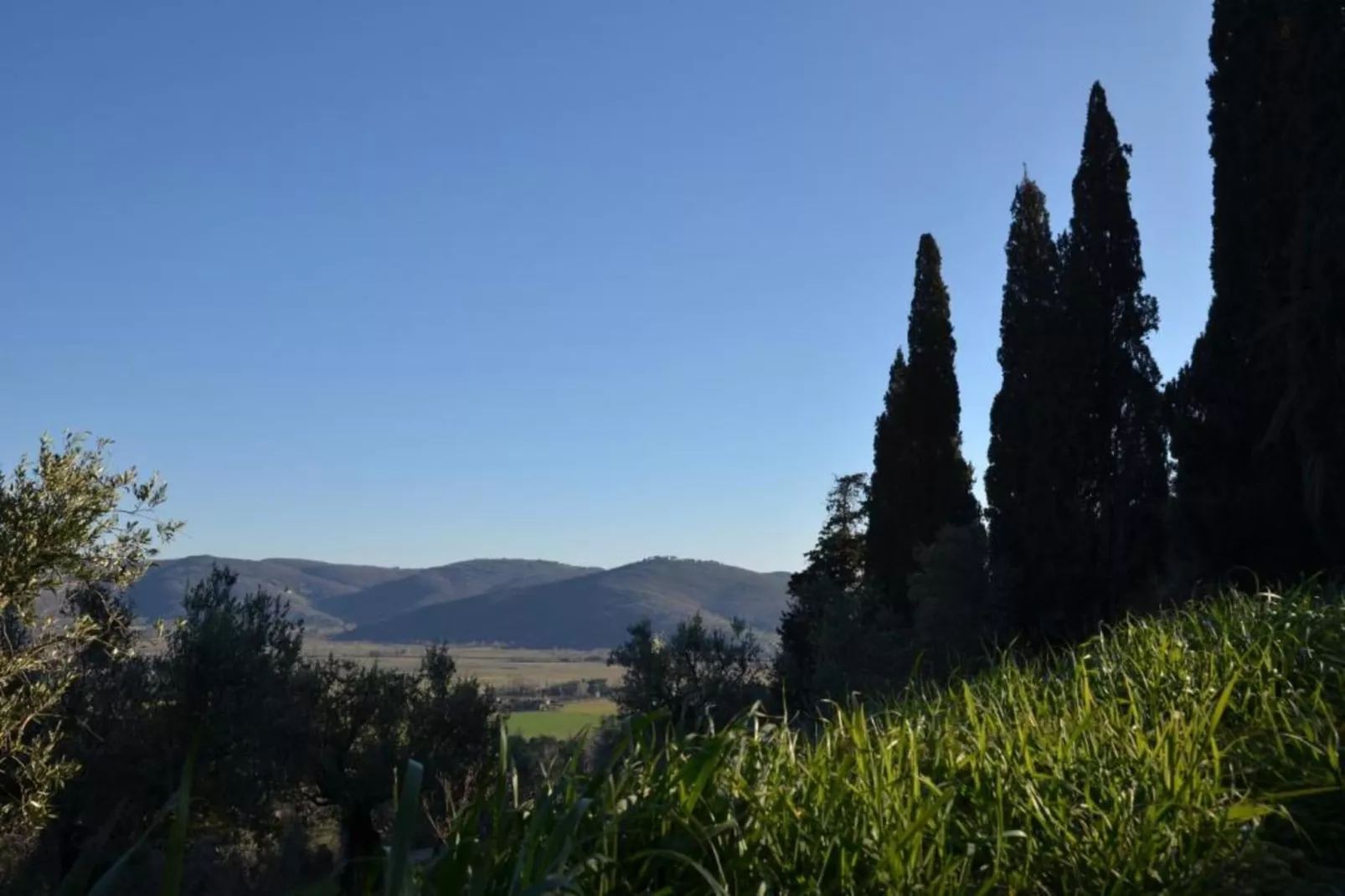 Villa degli Ulivi-Gebieden zomer 20km