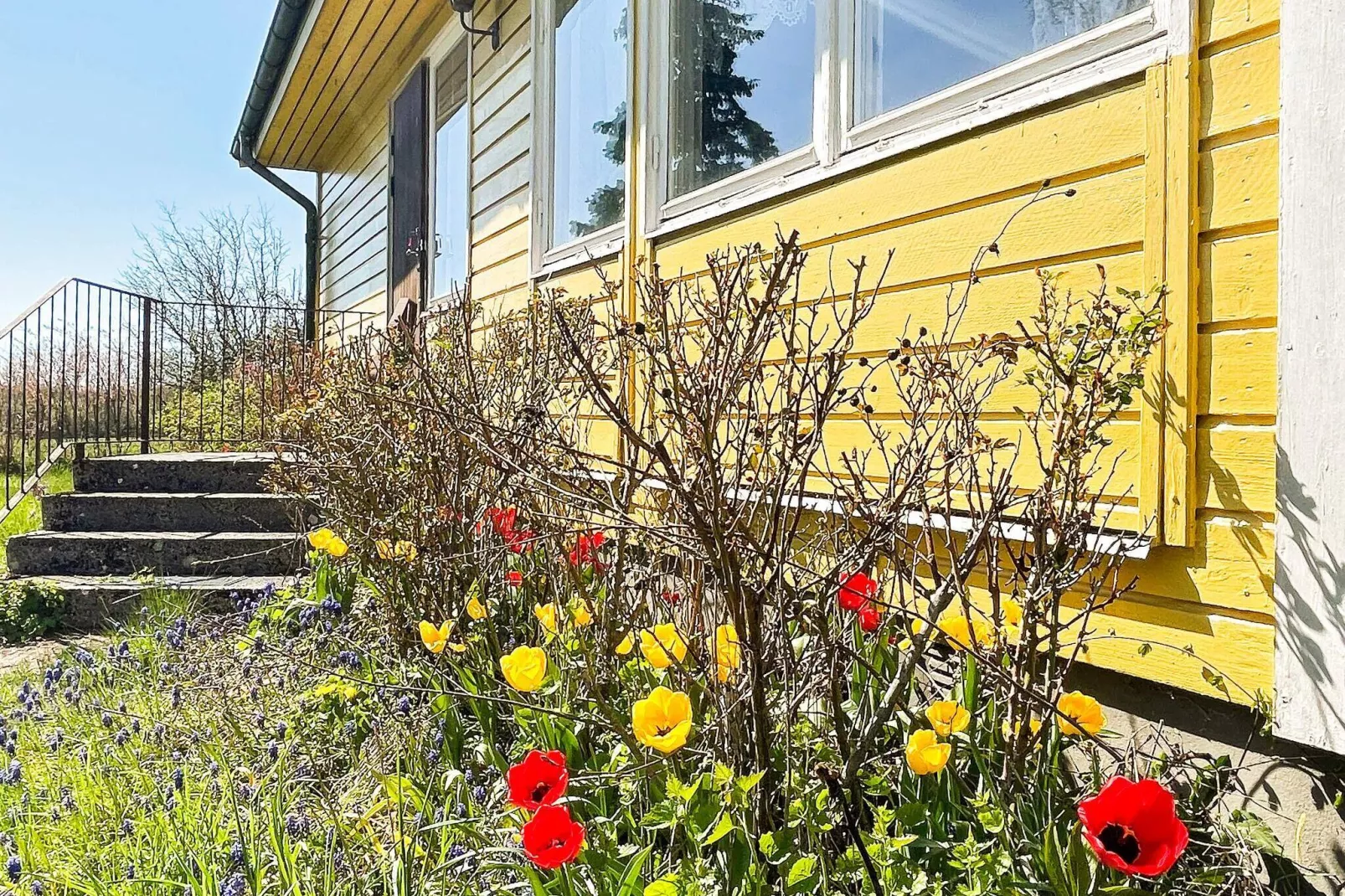 6 persoons vakantie huis in BORGHOLM-By Traum-Buitenlucht