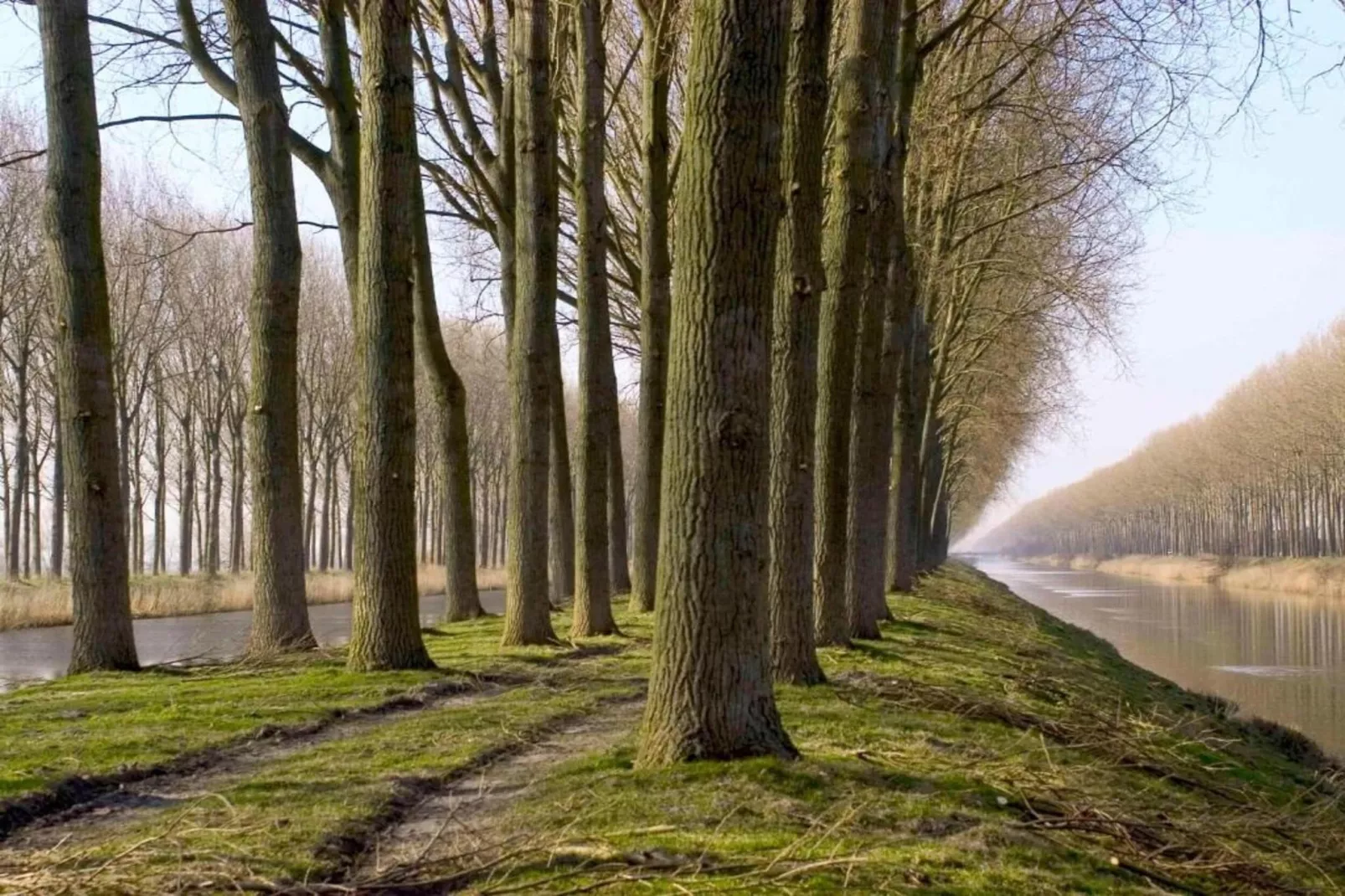 COQOON/0202-Gebieden zomer 20km
