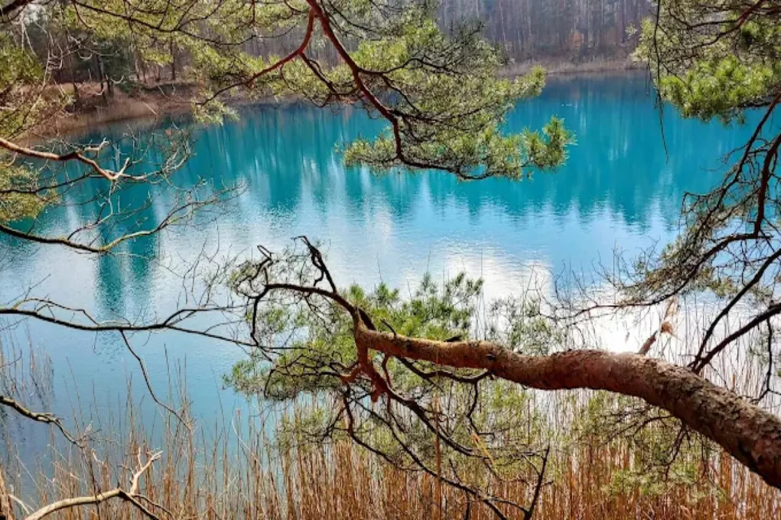 Hausboot am Bärwalder See-Gebieden zomer 1km