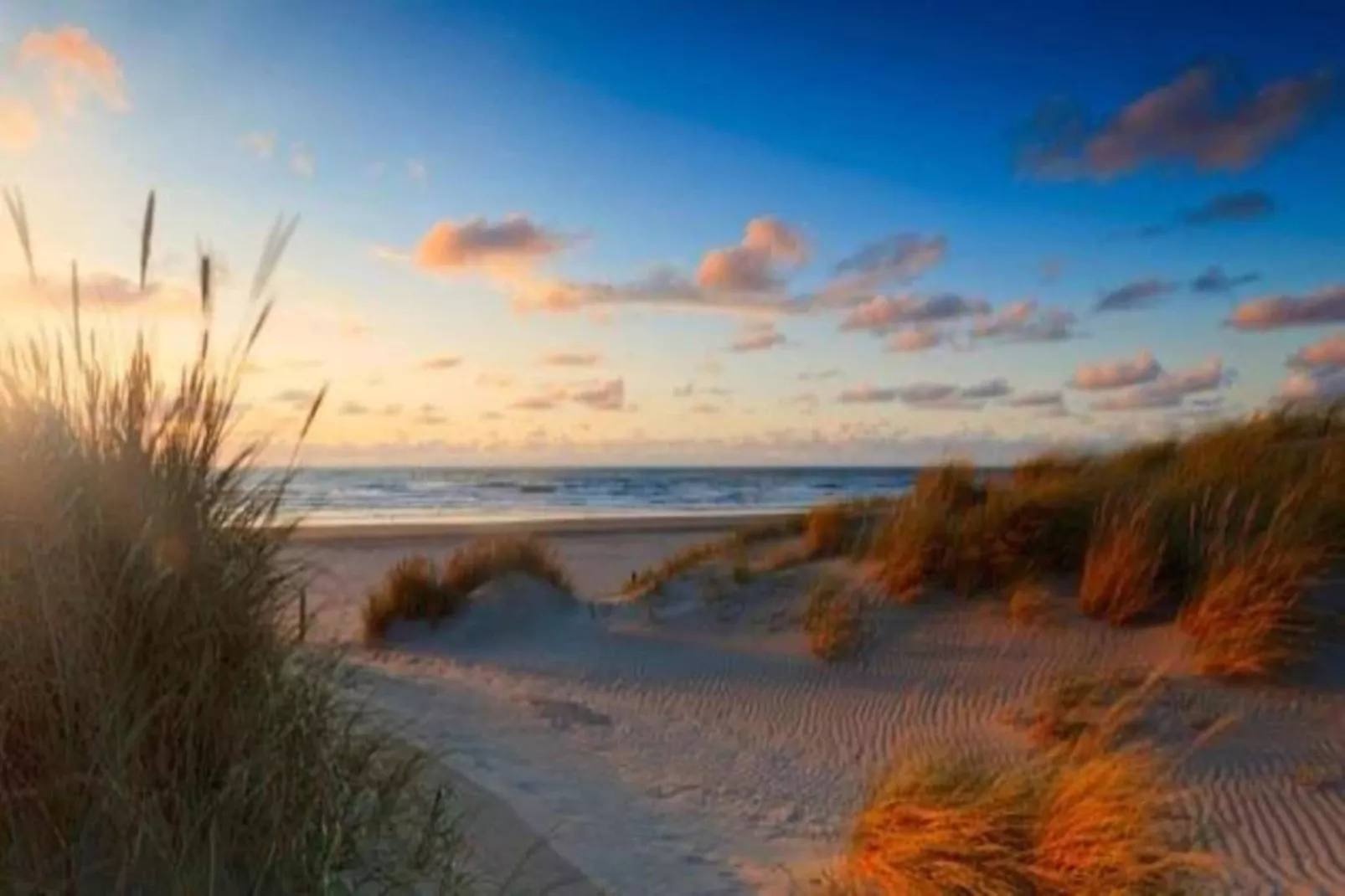Maurits 5-Gebieden zomer 20km