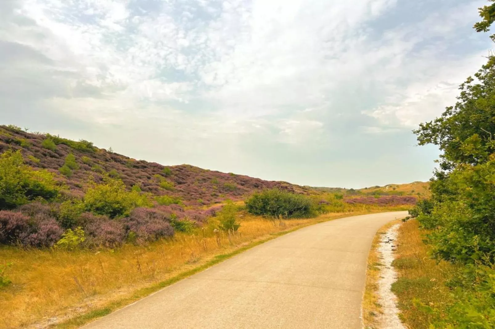 Era Nova-Gebieden zomer 20km