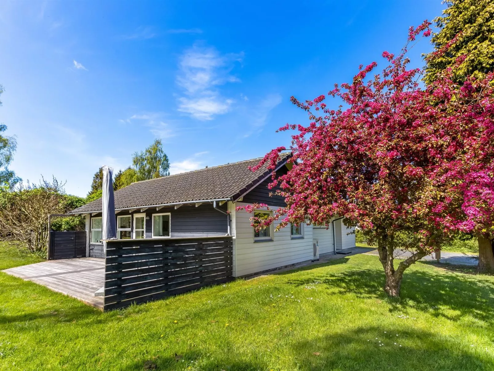 "Prohor" - 150m from the sea-Buiten