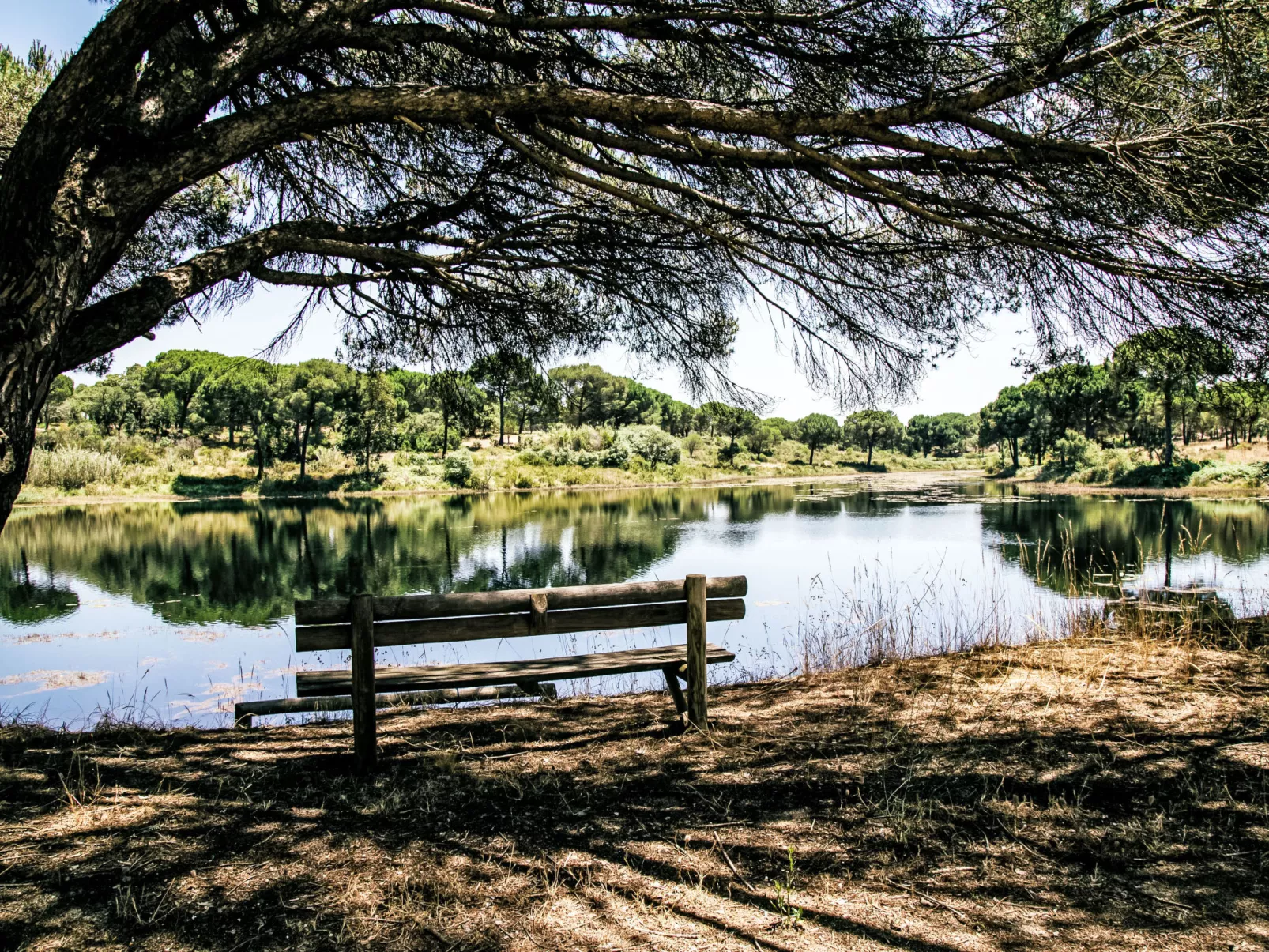 Casa do Lago
