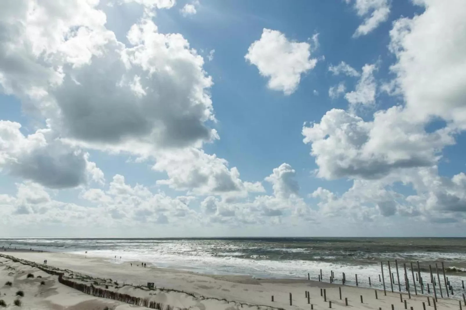 Beach 15-6-Gebieden zomer 5km
