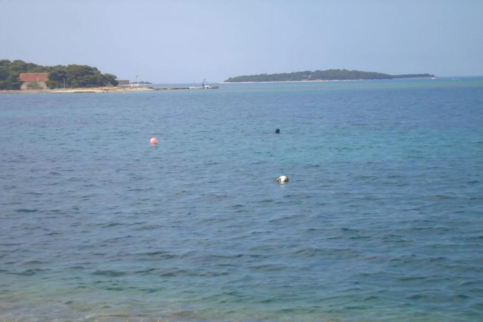 Apartments Gaj Brodarica - A7-Gebieden zomer 1km