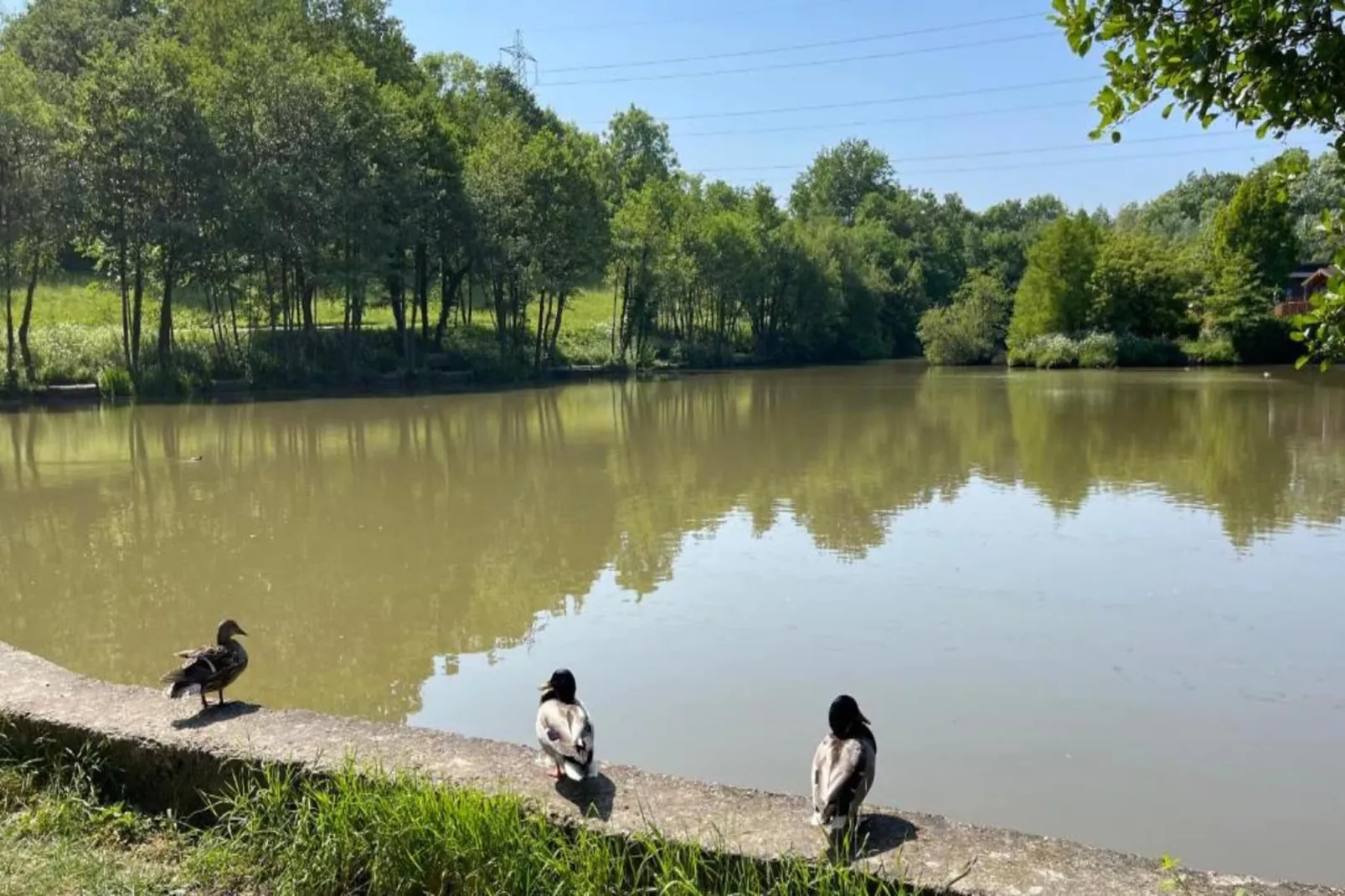 Little Dunley - Willow - Gebieden zomer 5km