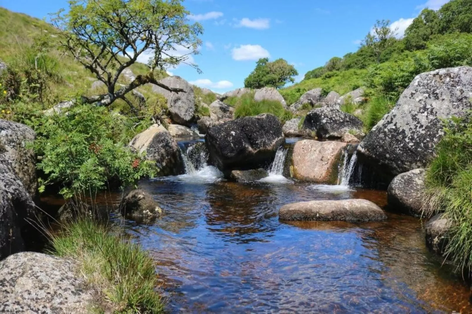 Little Dunley - Apple Lodge-Gebieden zomer 5km