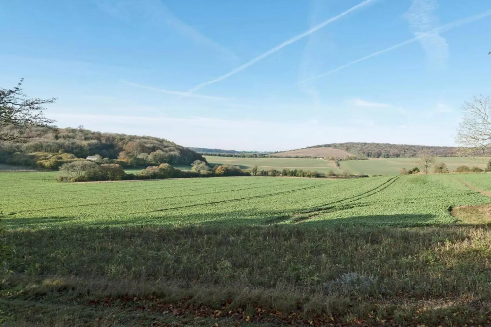 South Downs Lodge-Gebieden zomer 20km