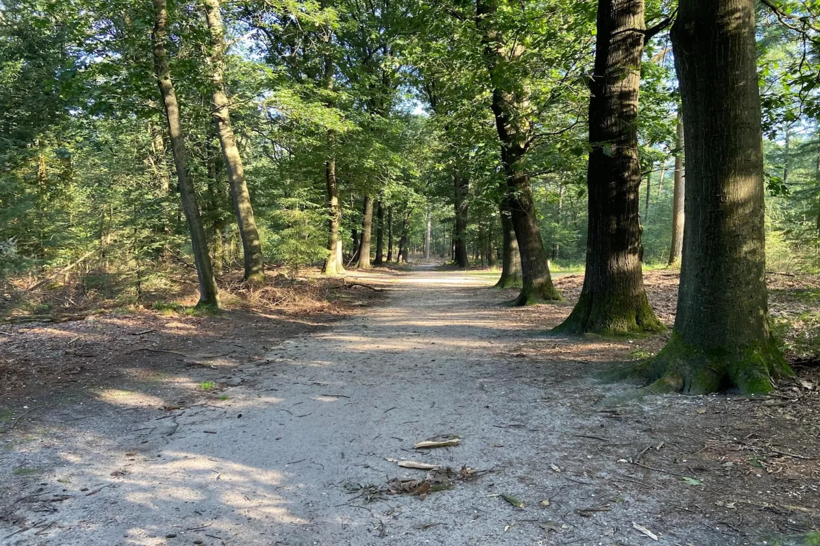 Bungalow Langelo-Gebieden zomer 1km