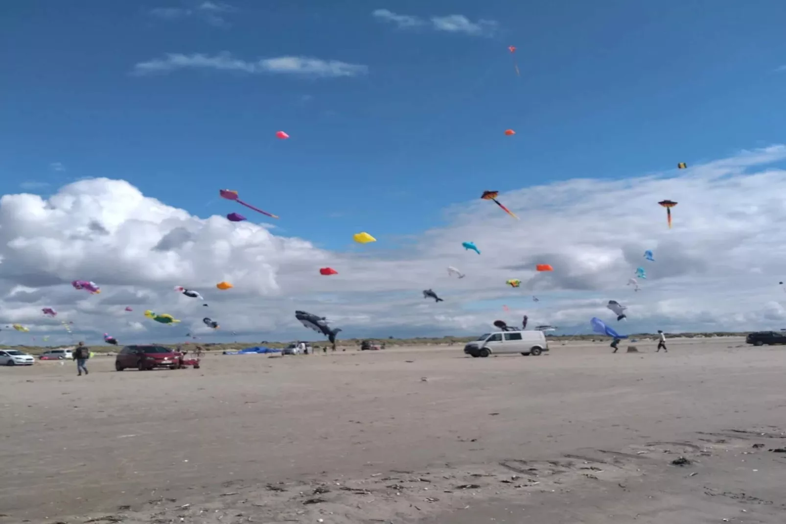 3 persoons vakantie huis in Fanø-By Traum-Waterzicht