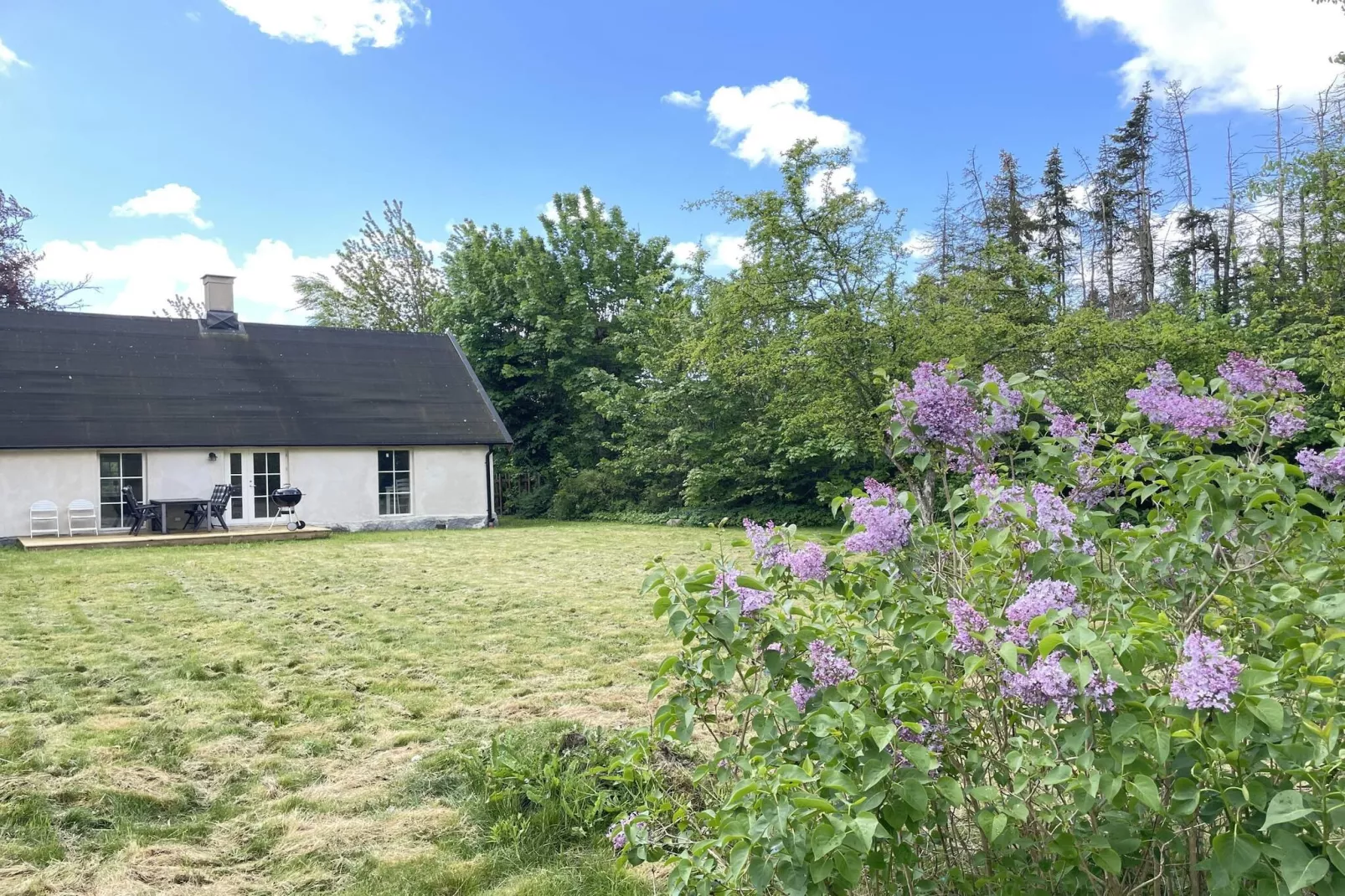 5 sterren vakantie huis in HAMMENHÖG
