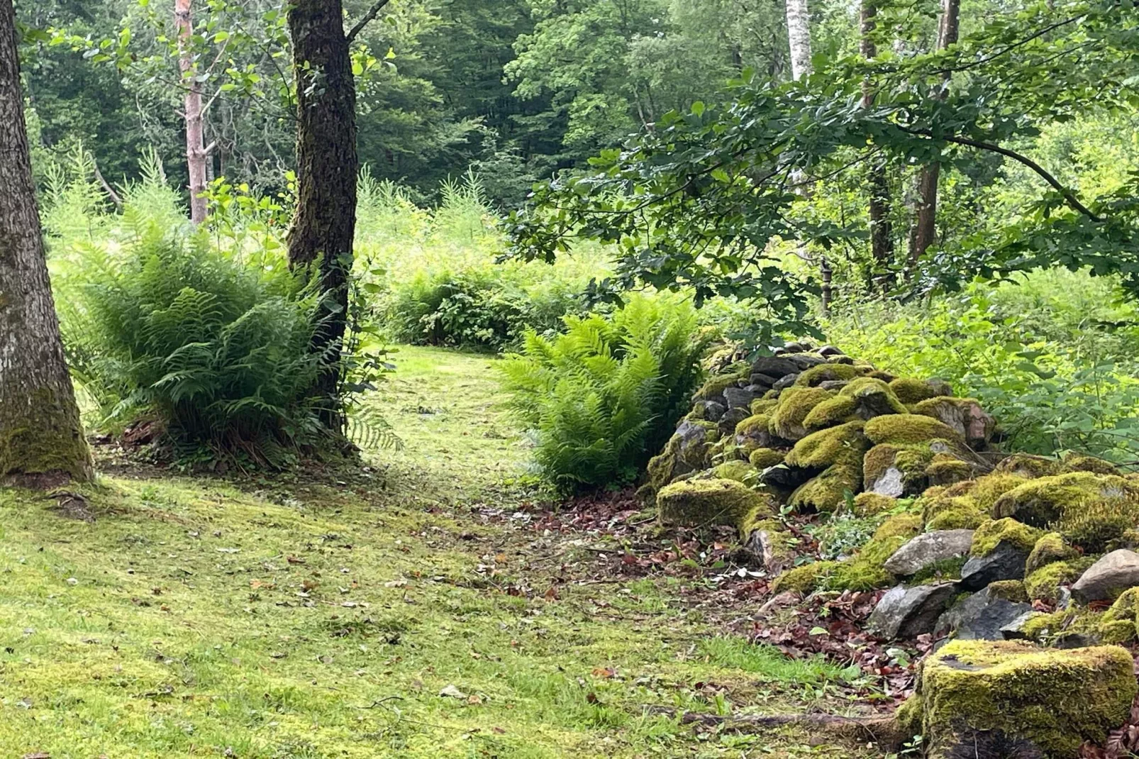 4 Personen vakantie huis in ARKELSTORP
