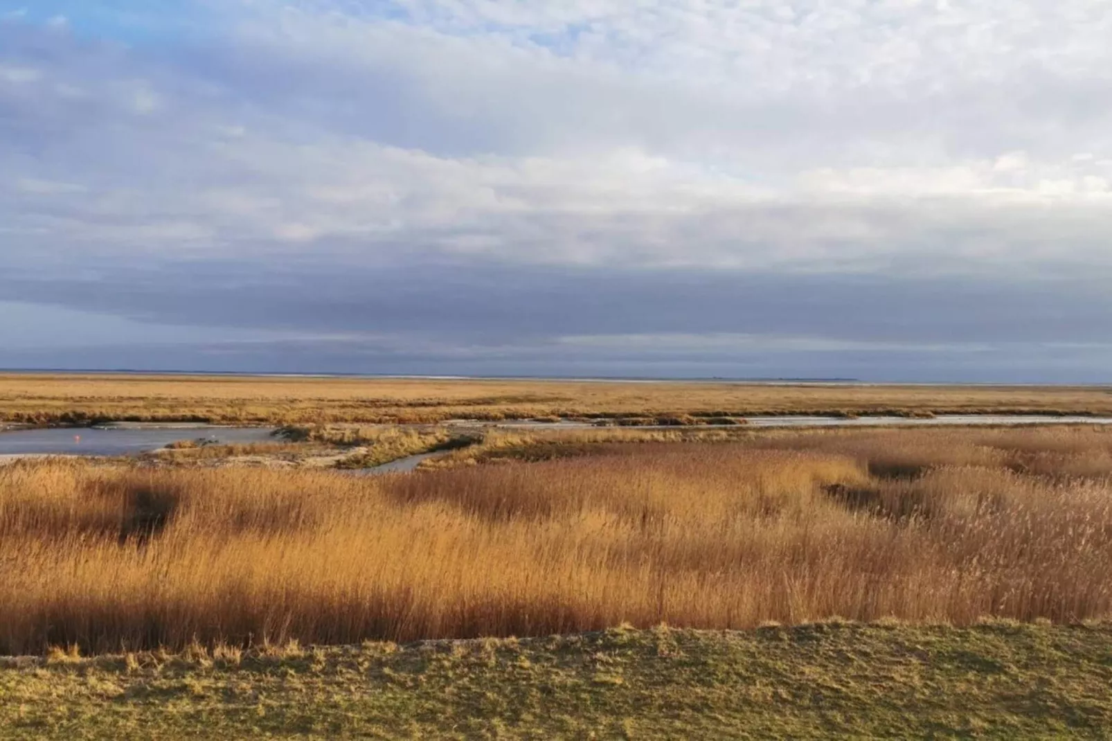 4 persoons vakantie huis in Fanø-Niet-getagd