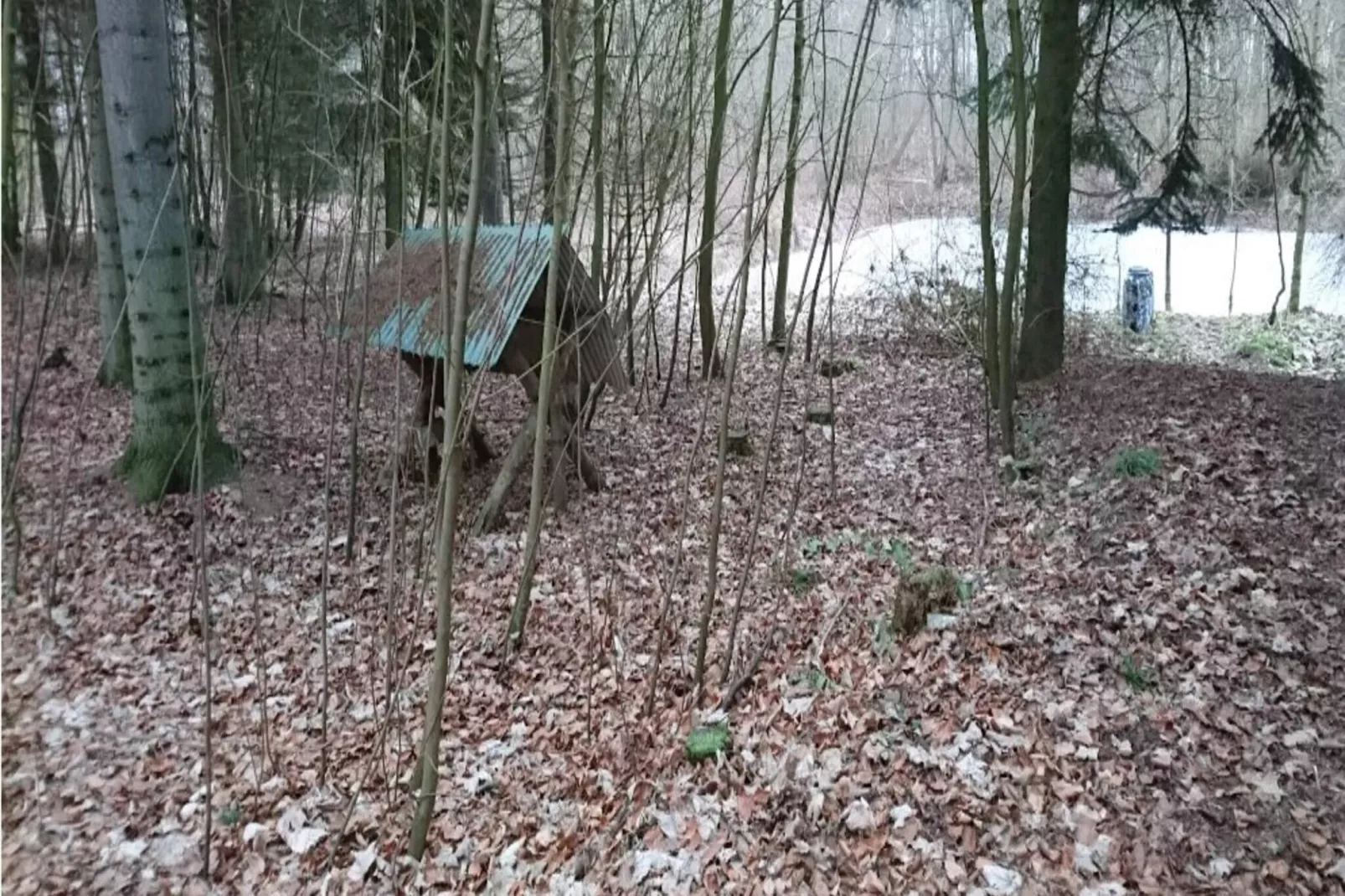 4 persoons vakantie huis in Væggerløse-Buitenlucht