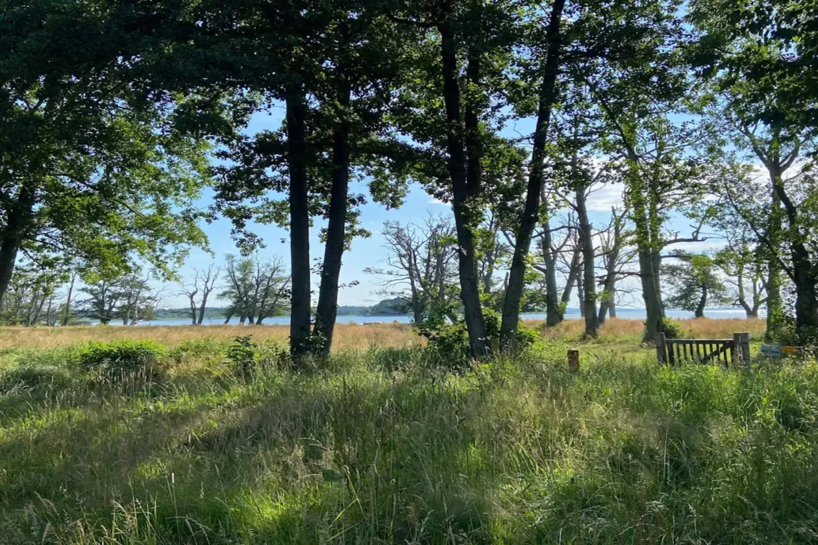 Vakantiehuis aan het meer met bos-Waterzicht