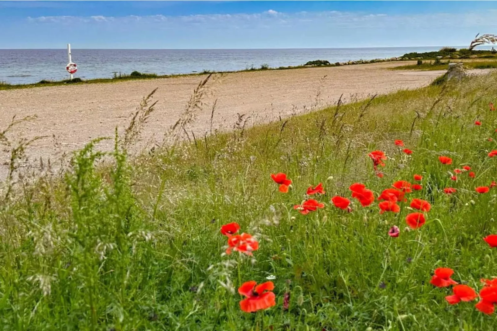 6 persoons vakantie huis in Sjællands Odde-Niet-getagd