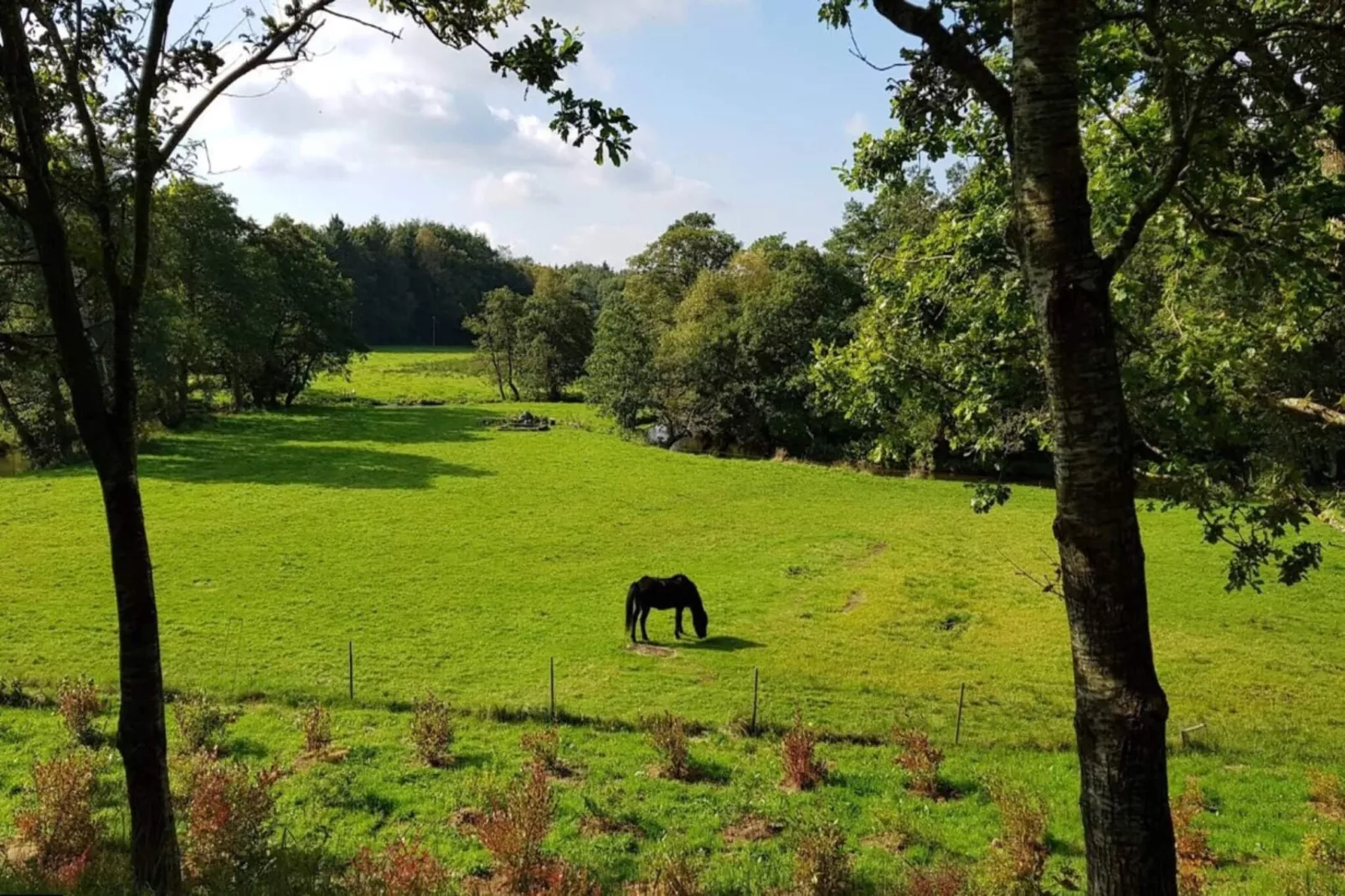 4 persoons vakantie huis in Ansager-By Traum-Niet-getagd