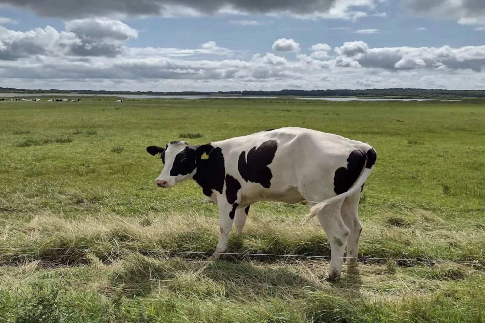 8 persoons vakantie huis in Løgstør-By Traum-Niet-getagd