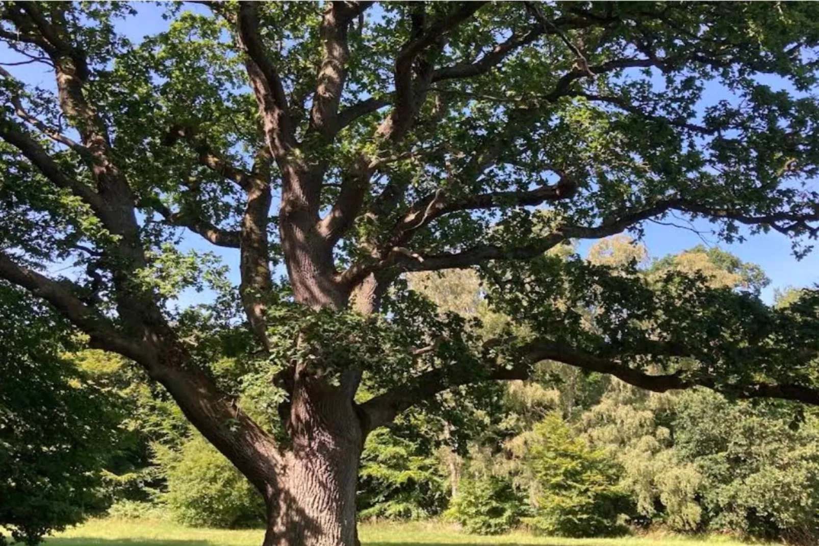 4 persoons vakantie huis in Faxe Ladeplads-Niet-getagd