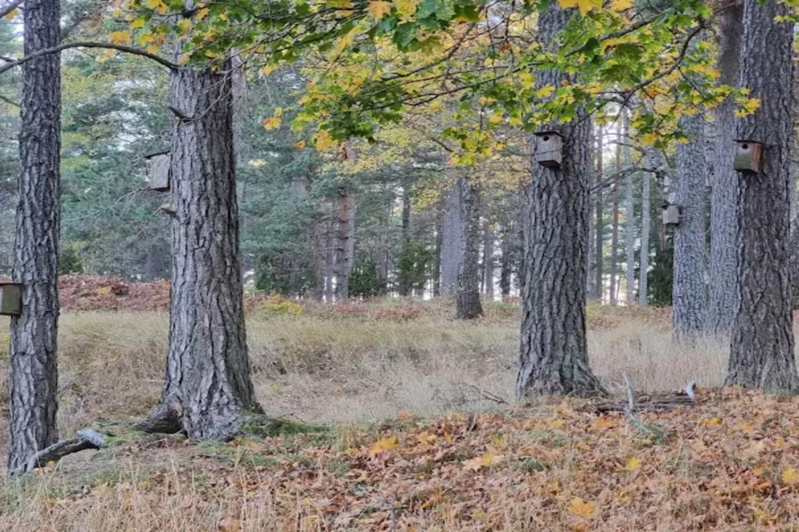 4 persoons vakantie huis in INGARÖ-By Traum-Niet-getagd