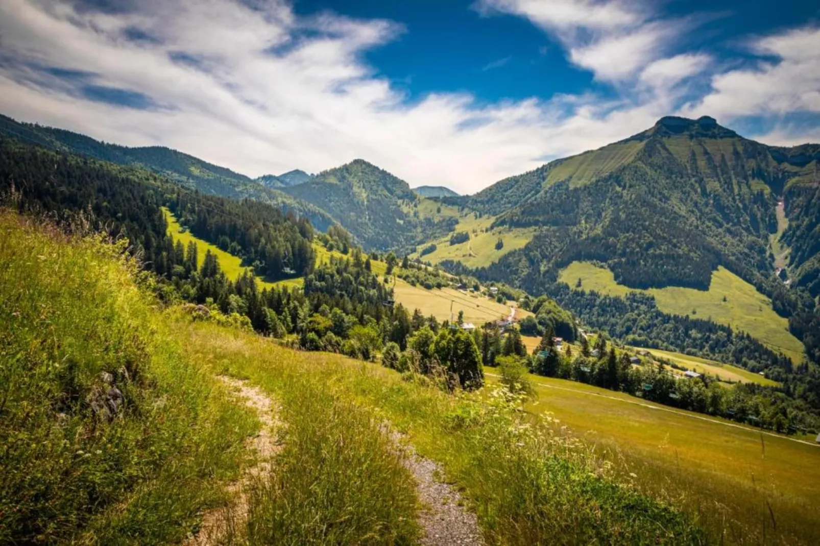 Ferienhaus Rieger-Gebieden zomer 20km