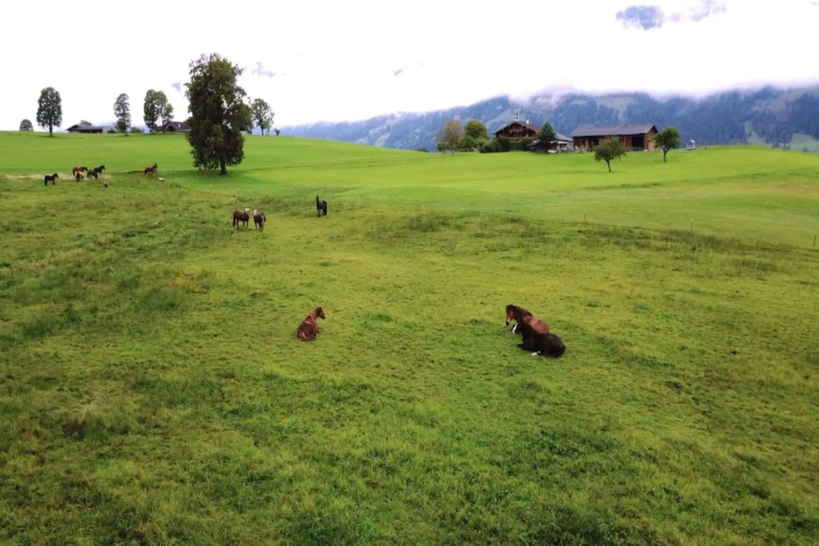 Alpine Lodge 1-Gebieden zomer 20km