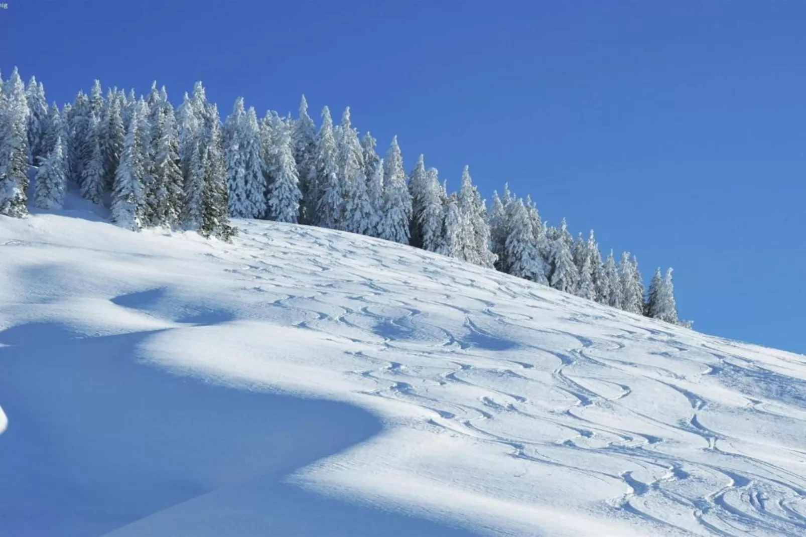 Apartment Lotte-Gebied winter 20km