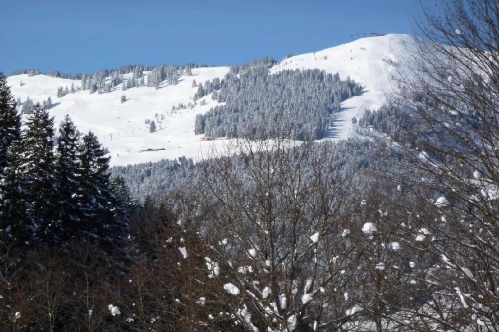 Appartement Jakob 2-Gebied winter 20km