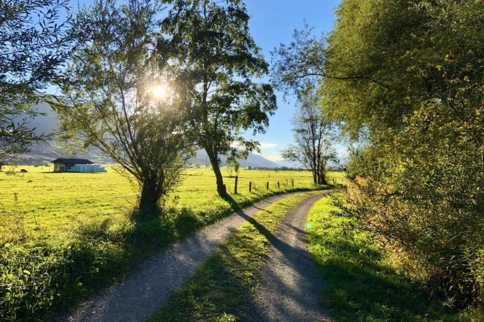 Chalet Schattberg-Gebieden zomer 20km