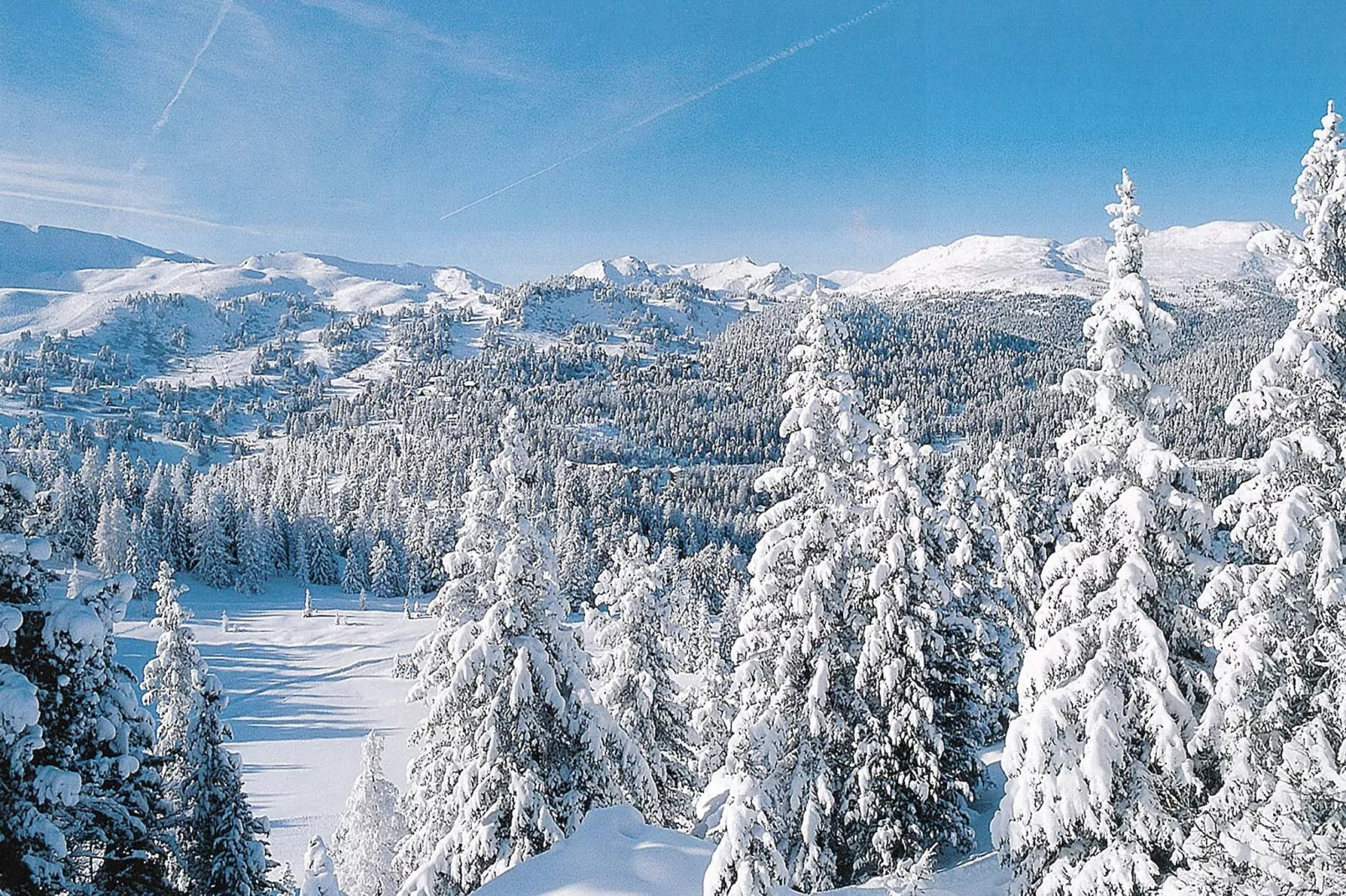 Haus Alpenröslein-Gebied winter 1km