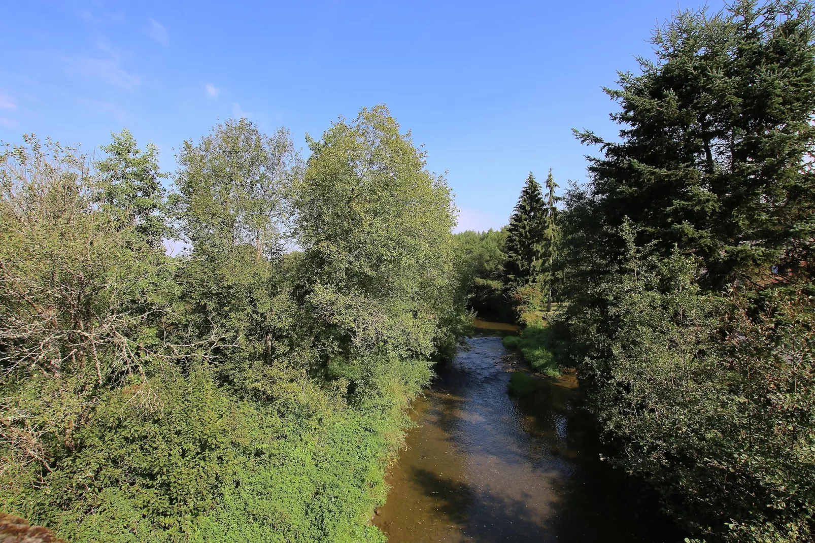 Oasis-Gebieden zomer 5km