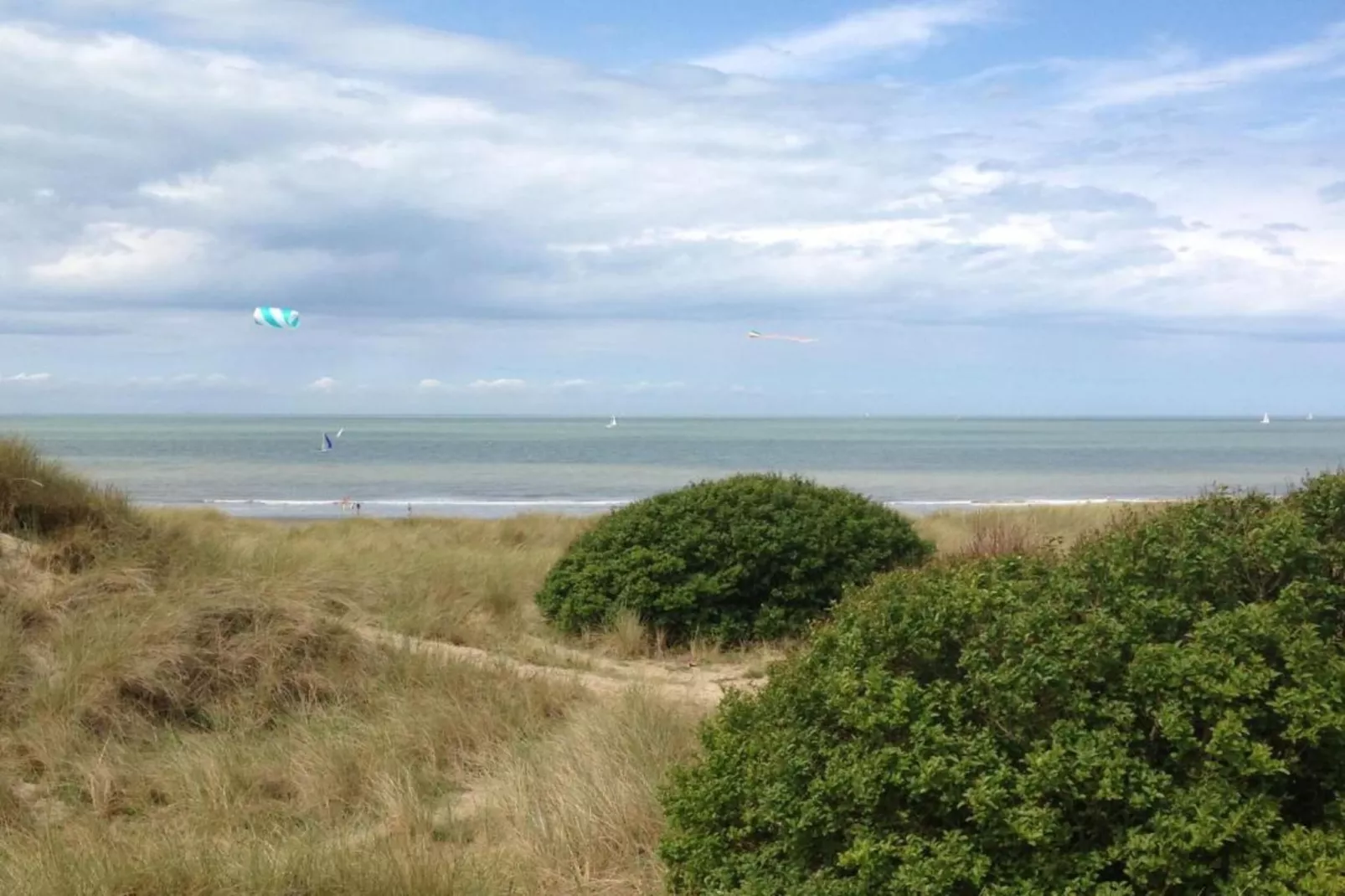 Villa Bos en Zee-Gebieden zomer 20km