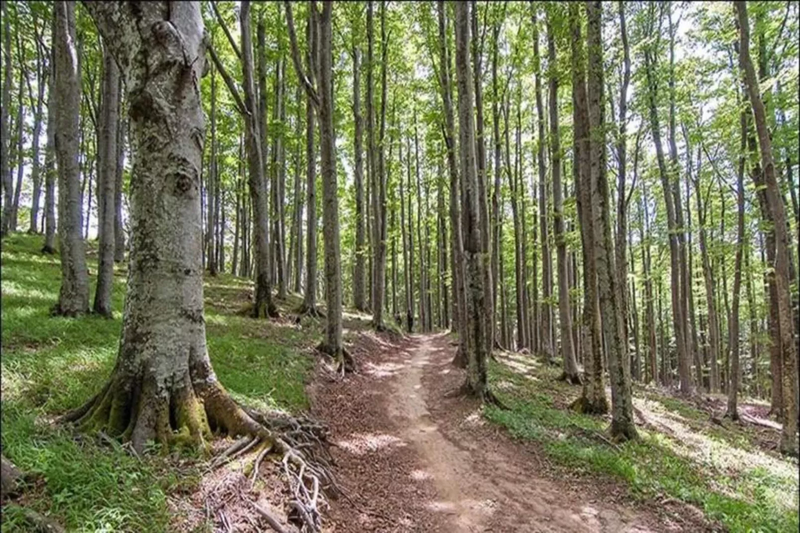 Le Paradis et Espace-Gebieden zomer 20km