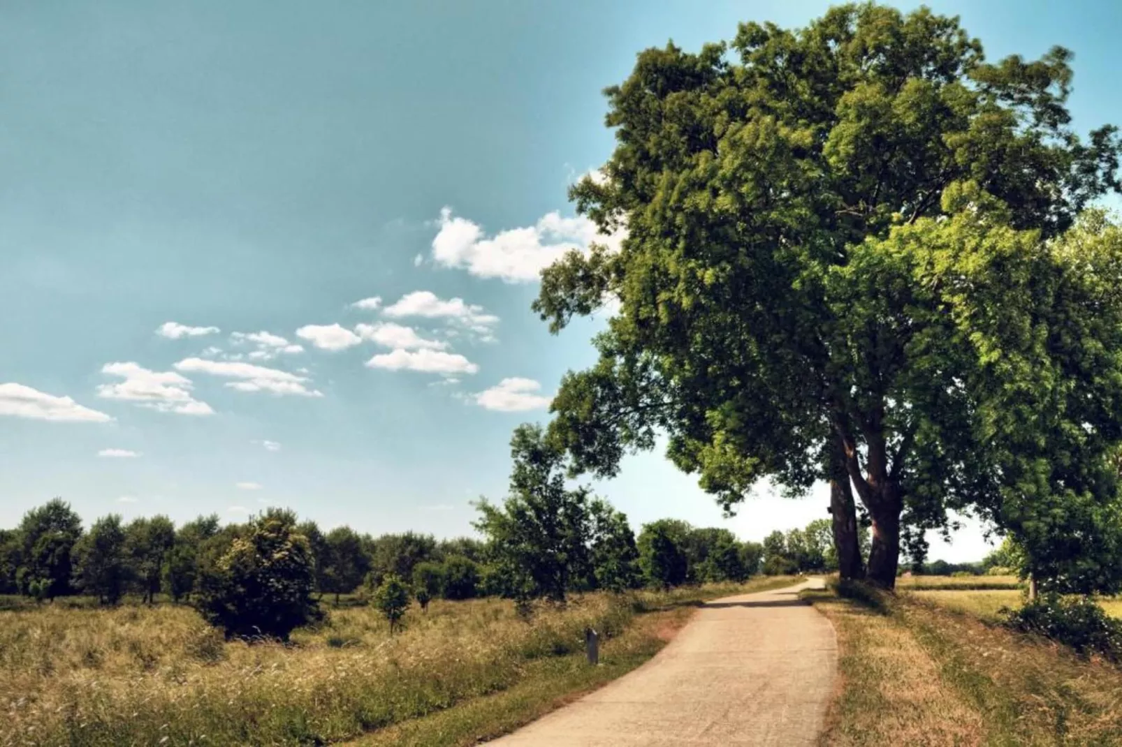 Boshuis het Eekhoorntje-Gebieden zomer 20km