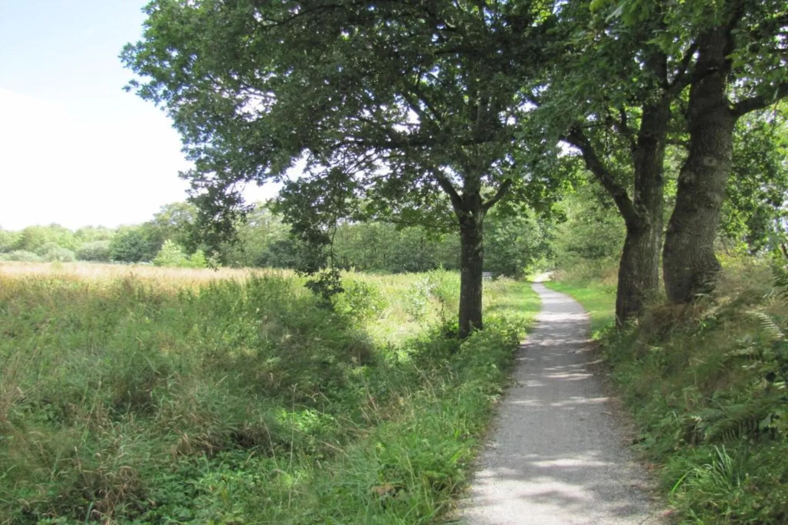 Petit pré-Gebieden zomer 20km