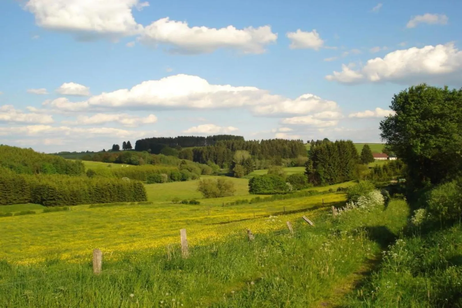 Prémassin-Gebieden zomer 20km