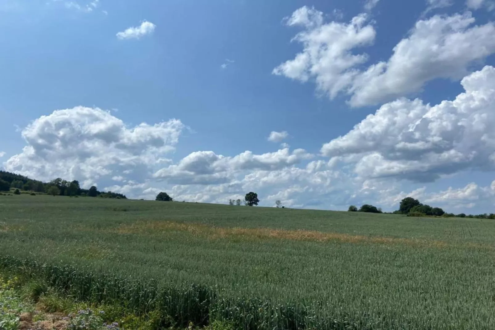Horécalienne-Gebieden zomer 20km
