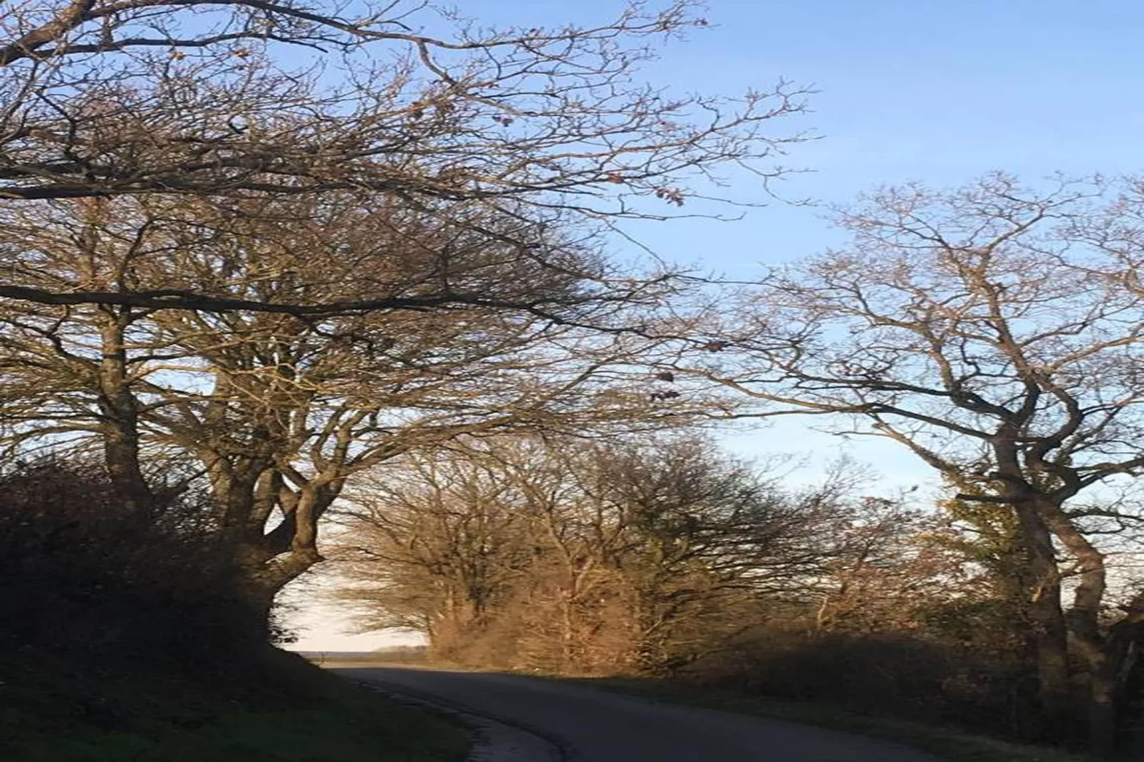Le Cerf Volant-Gebieden zomer 20km