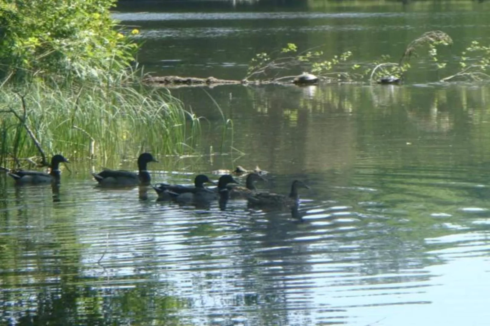 Les Sittelles-Gebieden zomer 20km